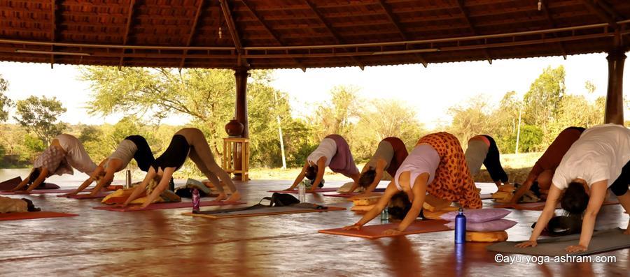 Yoga India (13)